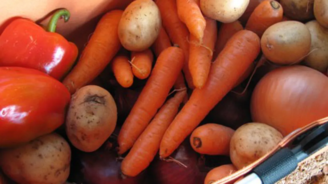 Rusia aduce noi acuzaţii grave Olandei pentru legumele exportate
