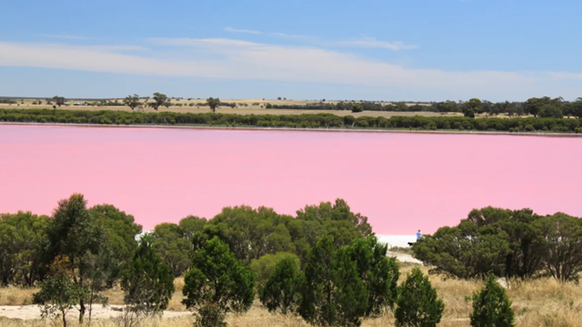 Lacul bizar din Africa: Este roz, din cauza concentraţiei prea mare de sare FOTO