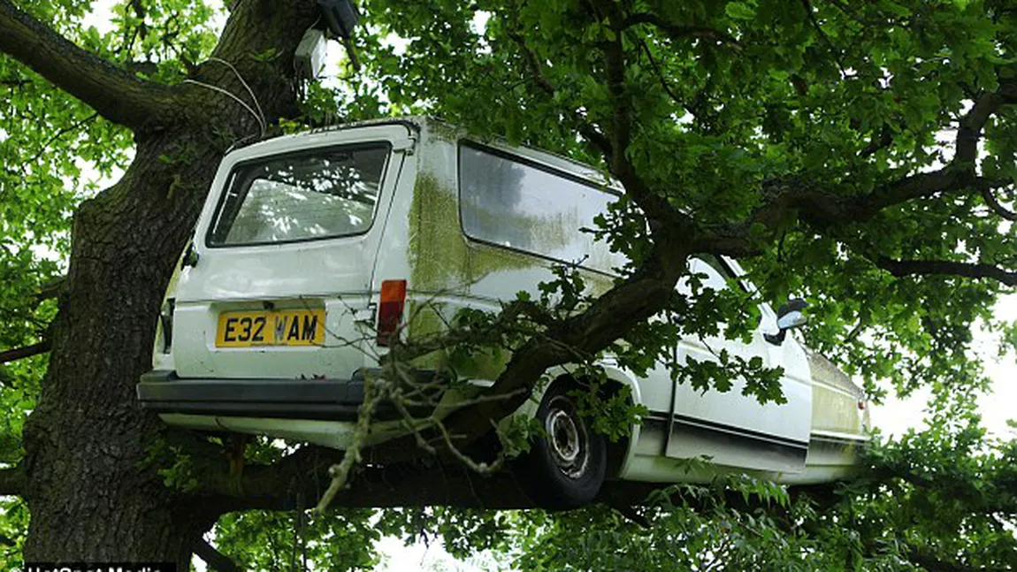 Maşina din copac. Artă modernă sau accident bizar? GALERIE FOTO