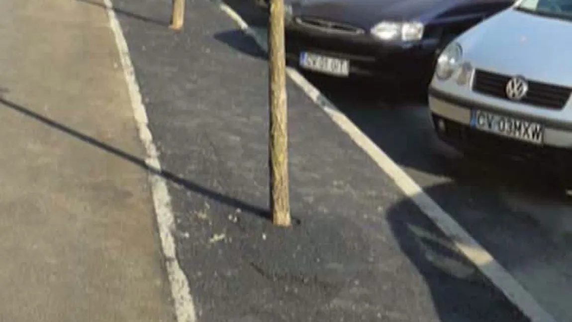 Muncitorii au asfaltat trotuarul cu tot cu copaci! VIDEO