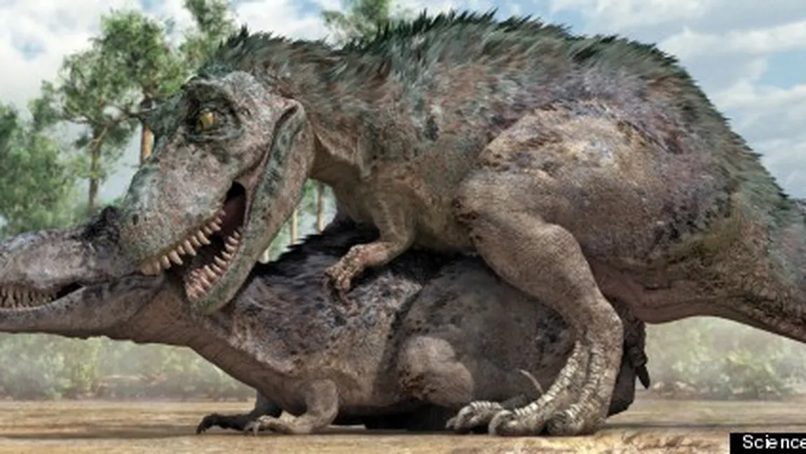 Cum făceau dinozaurii sex? Experţii au găsit răspunsul VIDEO