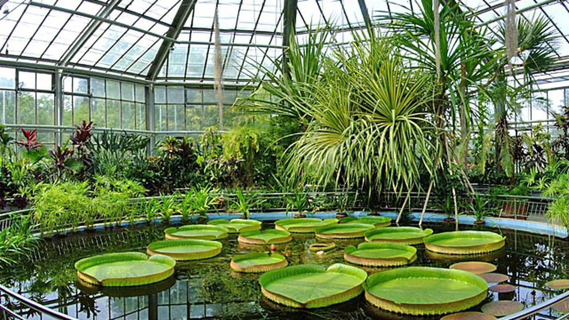Grădina Botanică Bucureşti inaugurează un spaţiu dedicat copiilor pentru educaţie ecologică