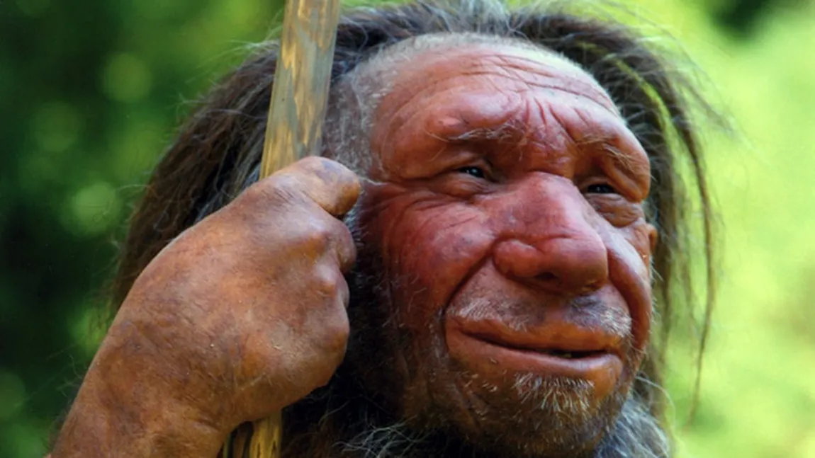 Moda preistorică: Oamenii de Neanderthal foloseau penele de păsări drept ornamente