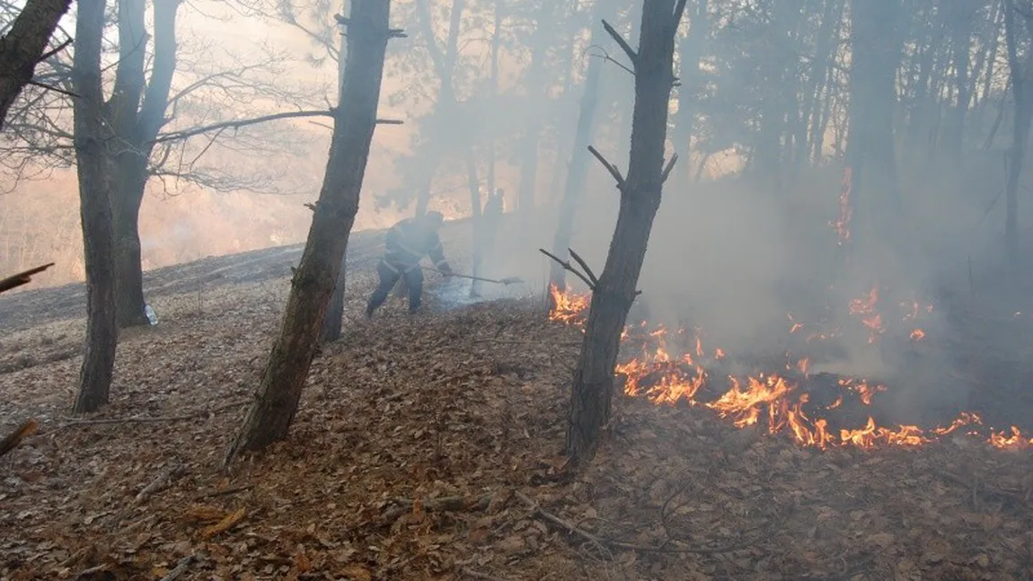 Incendiu de pădure în Munţii Rodnei, focul cuprinzând o suprafaţă de circa zece hectare