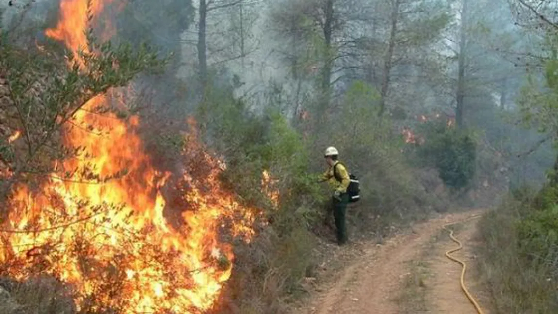 Incendiul de la Vârful Roşu din Făgăraş s-a extins pe o suprafaţă de 100 de hectare