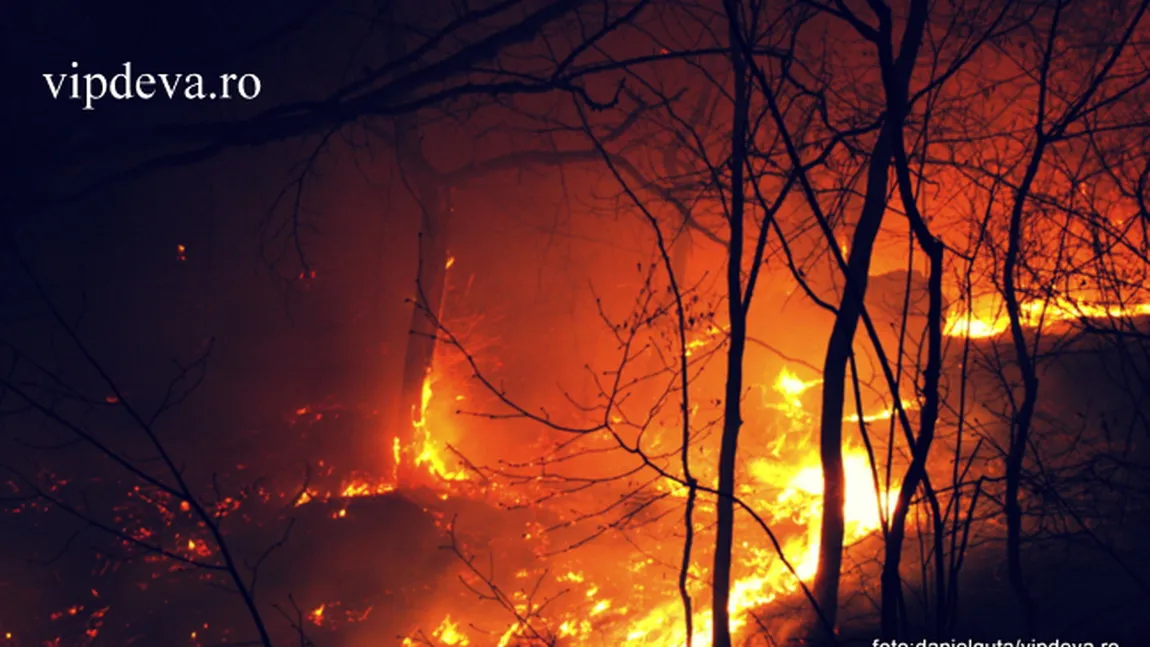 Alba: Incendiul de pădure din Munţii Şureanu a fost stins