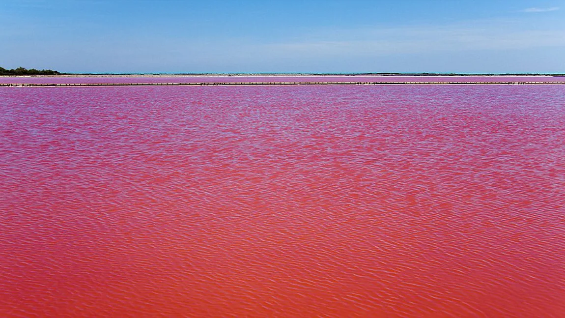Un fenomen natural extraordinar: Lacul din Franţa care a devenit roşu ca sângele FOTO