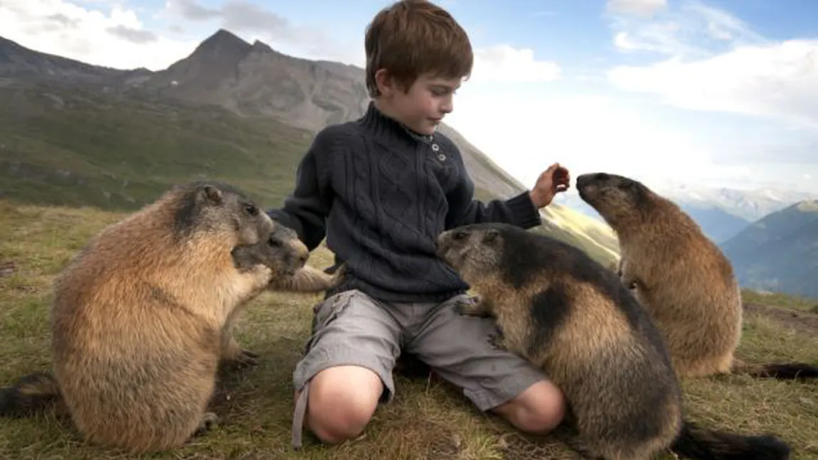 Un Mowgli real: Un băieţel s-a împrietenit cu o colonie de marmote FOTO