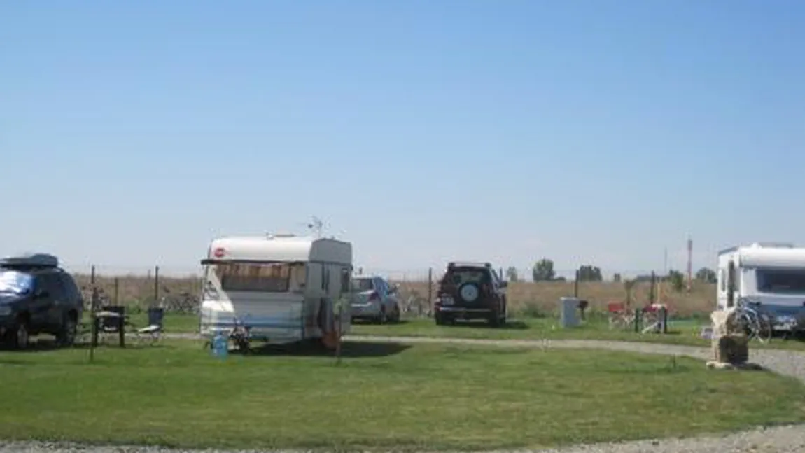 Turiştii culeg canabis pe câmpul de la Vama Veche