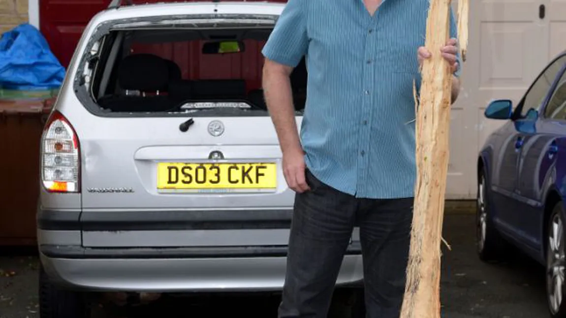 Un om norocos! A scăpat de moarte sigură după ce un fulger a lovit un copac VIDEO
