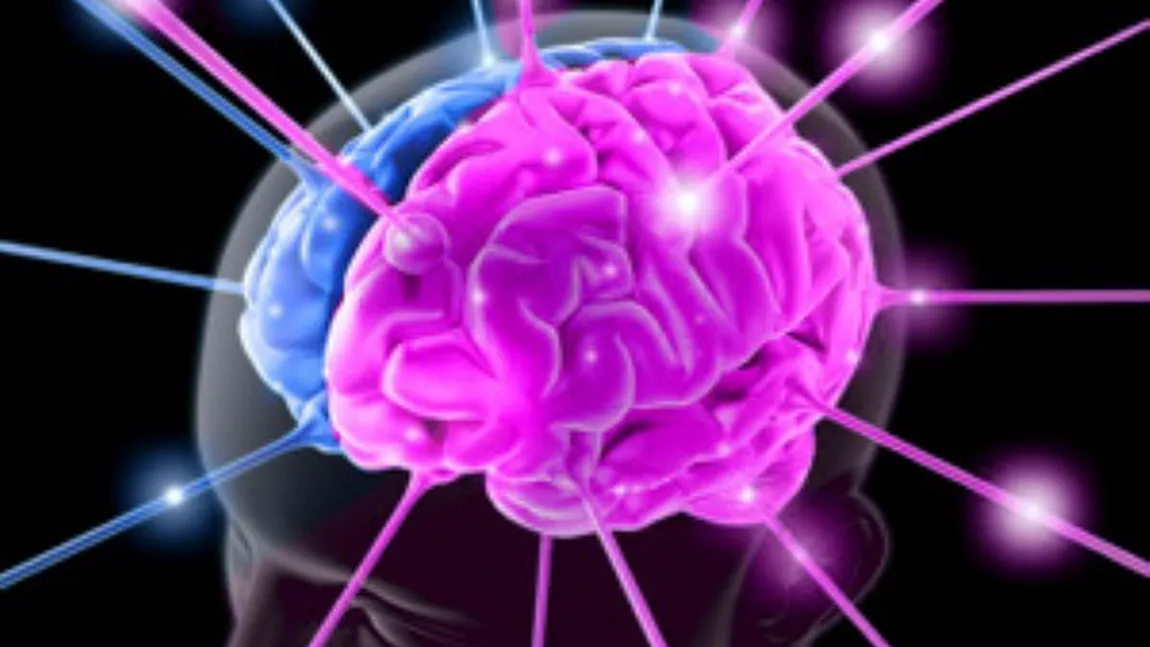 STUDIU: Creierul uman se maturizează la 30 de ani