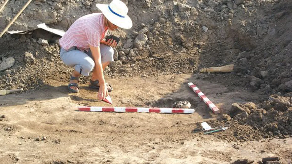 Un colţ de mamut vechi de 10.000 de ani, descoperit pe un şantier din Düsseldorf