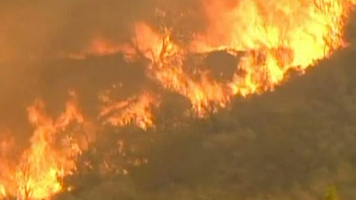 Americanii se luptă cu seceta şi incendiile. Urmează lupta cu creşterea preţurilor la alimente VIDEO