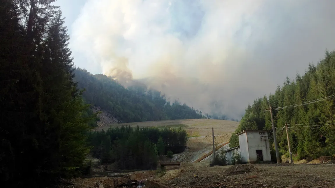 Zeci de hectare de pădure ard în Munţii Rodnei