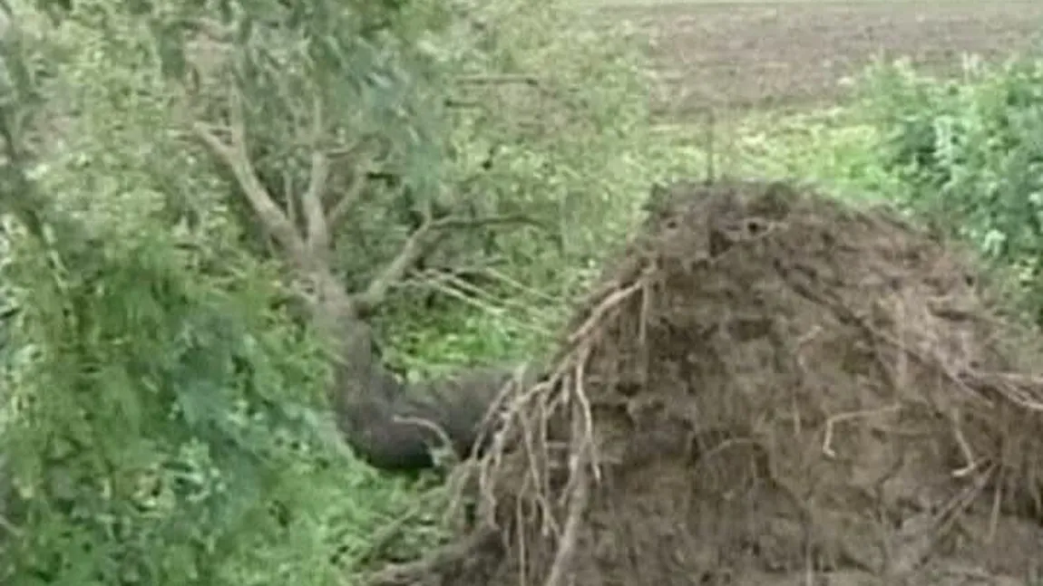 Coreea de Nord, lovită de taifun: 3 morţi şi 3.300 sinistraţi VIDEO