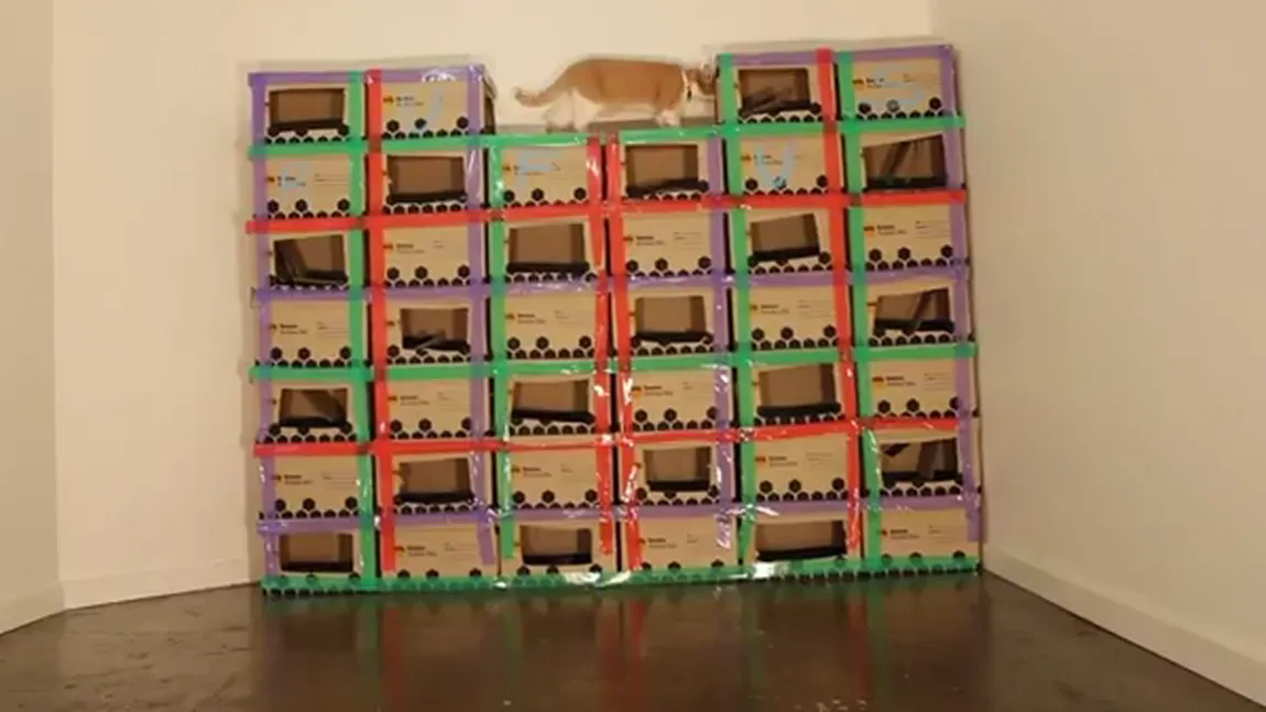 Viral pe internet: Un turn-labirint pentru pisici, doar din cutii de carton VIDEO