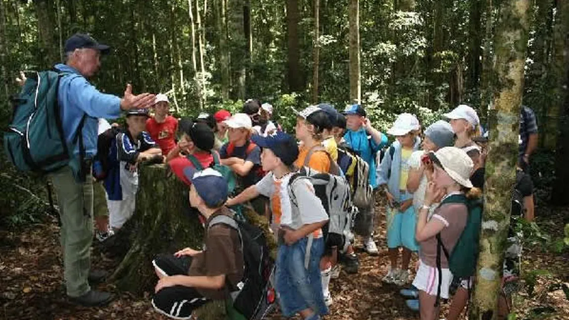 Noi reguli de organizare taberelor şcolare: Vor fi asigurate cu cadre didactice şi personal sanitar