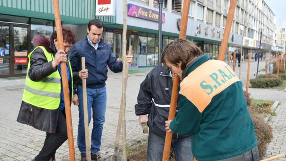 Baia Mare vrea să devină cel mai verde oraş din ţară: Plantează mii de arbori şi de flori