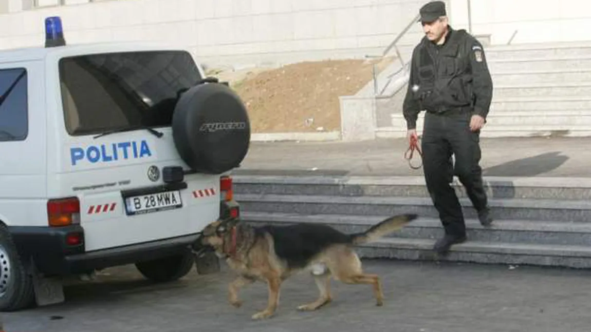 Poliţia din Bihor în ALERTĂ! O prostituată ar fi fost răpită pe stradă