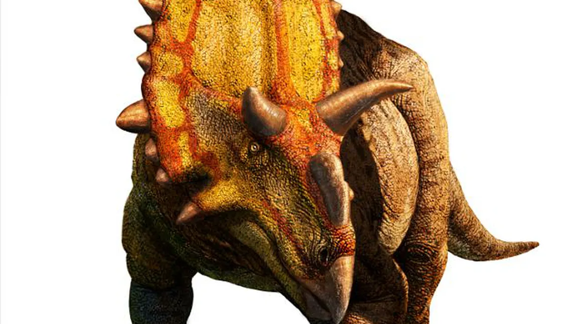 Înfricoşătorul erbivor: Experţii au descoperit o nouă specie de dinozaur cu coarne FOTO