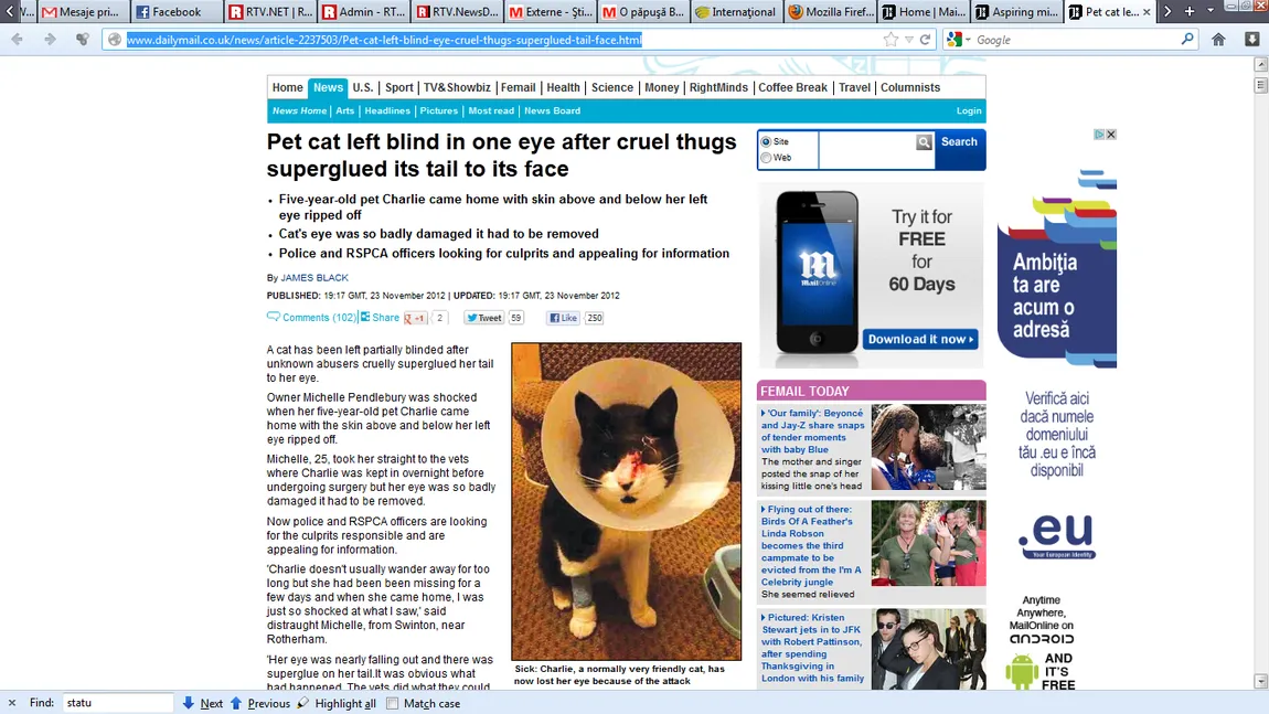 CRUZIME FĂRĂ MARGINI:O pisică, pe jumătate oarbă, după ce i-a fost lipită coada de ochi cu superglue