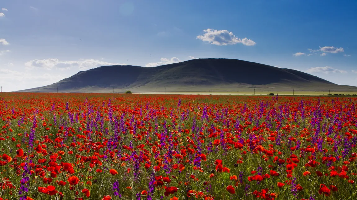 Dealul Deniz Tepe din Dobrogea, protejat printr-un nou proiect european FOTO