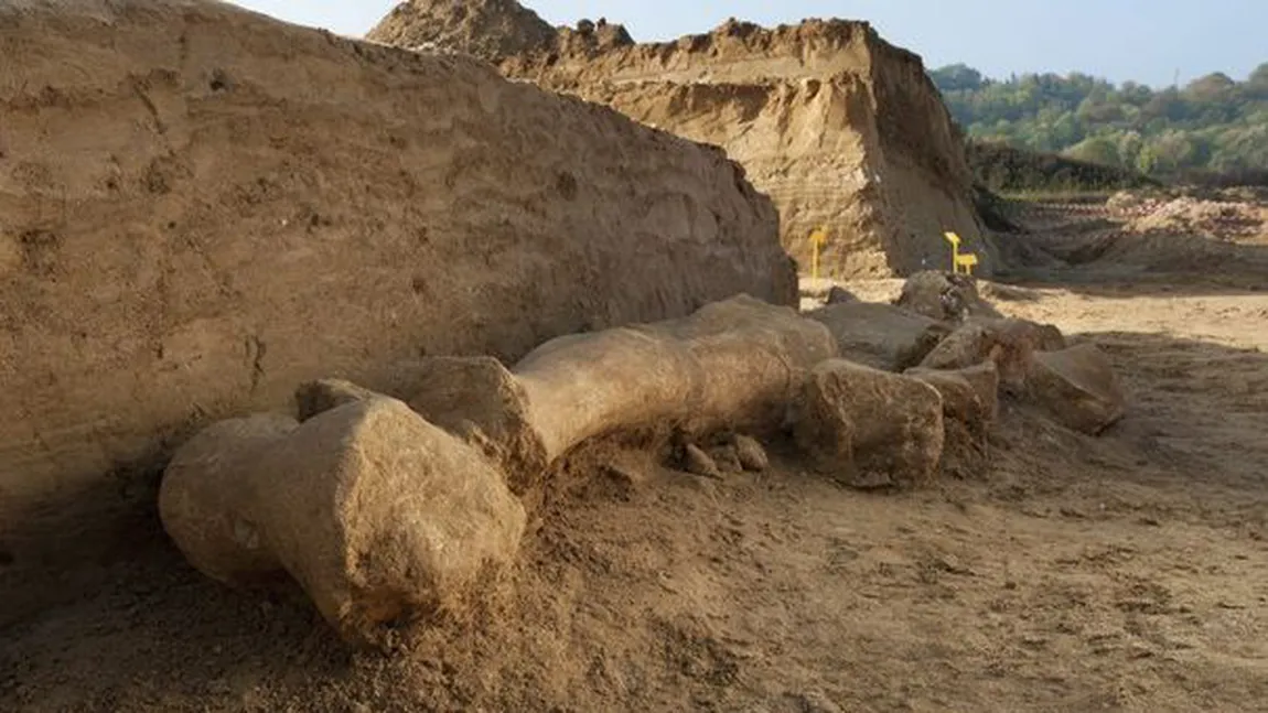 Un schelet de mamut a fost descoperit în apropiere de Paris FOTO&VIDEO