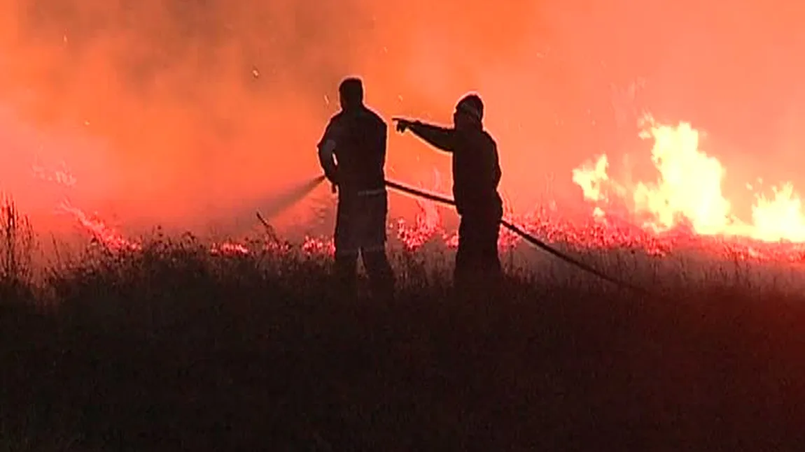 Incendiu în Delta Dunării: Zeci de hectare de vegetaţie au ars în apropierea Cetăţii Histria