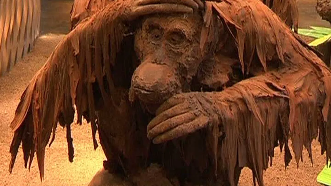 O sculptură dulce: Un ciocolatier a realizat un copac imens cu maimuţe VIDEO