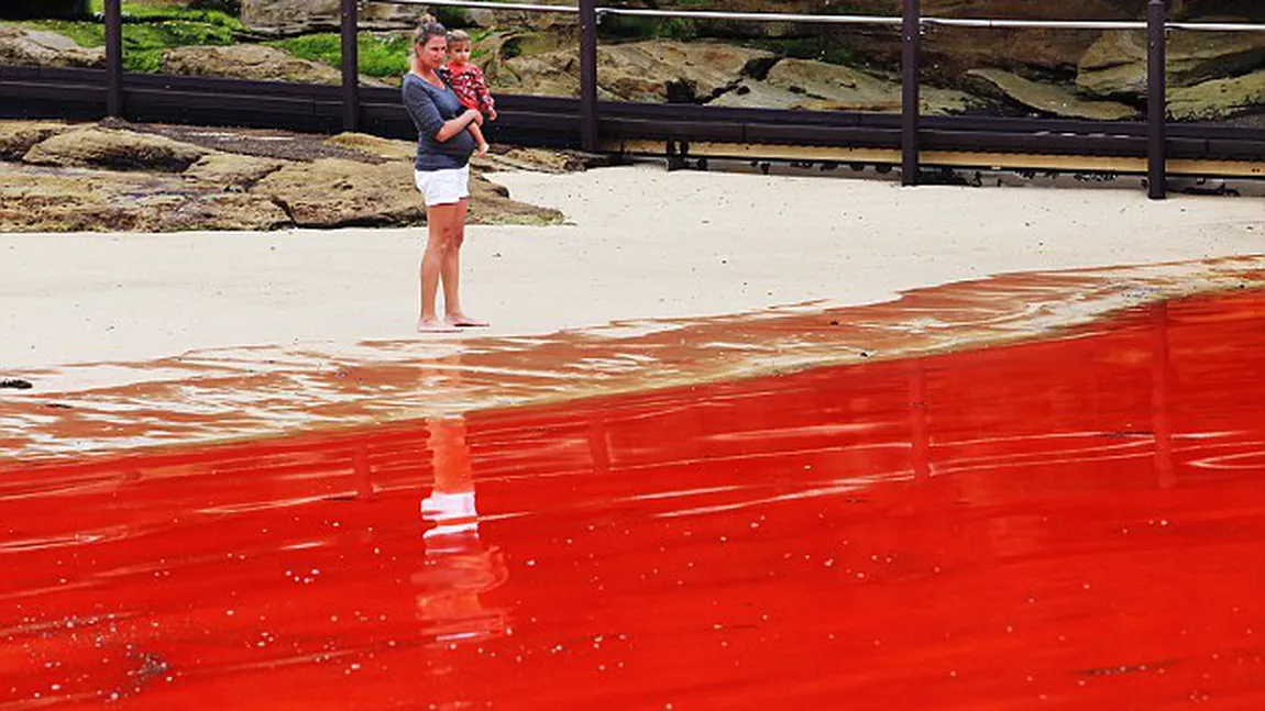 Turiştii speriaţi pe o faimoasă plajă din Australia: Apa mării a devenit roşie ca sângele VIDEO&FOTO