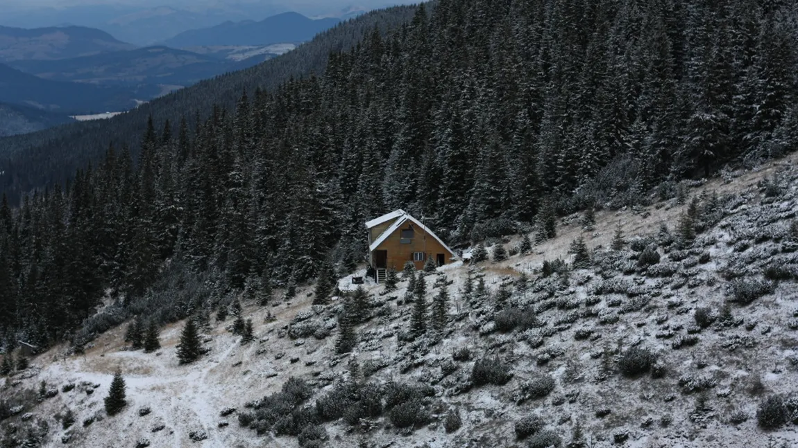 Trei tineri rătăciţi într-o pădure de lângă Lacu Roşu, recuperaţi de jandarmi şi salvamontişti