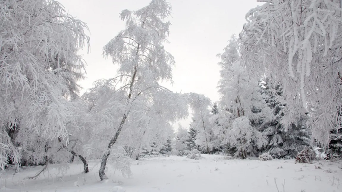Cea mai scăzută temperatură din această iarnă, minus 31 de grade Celsius