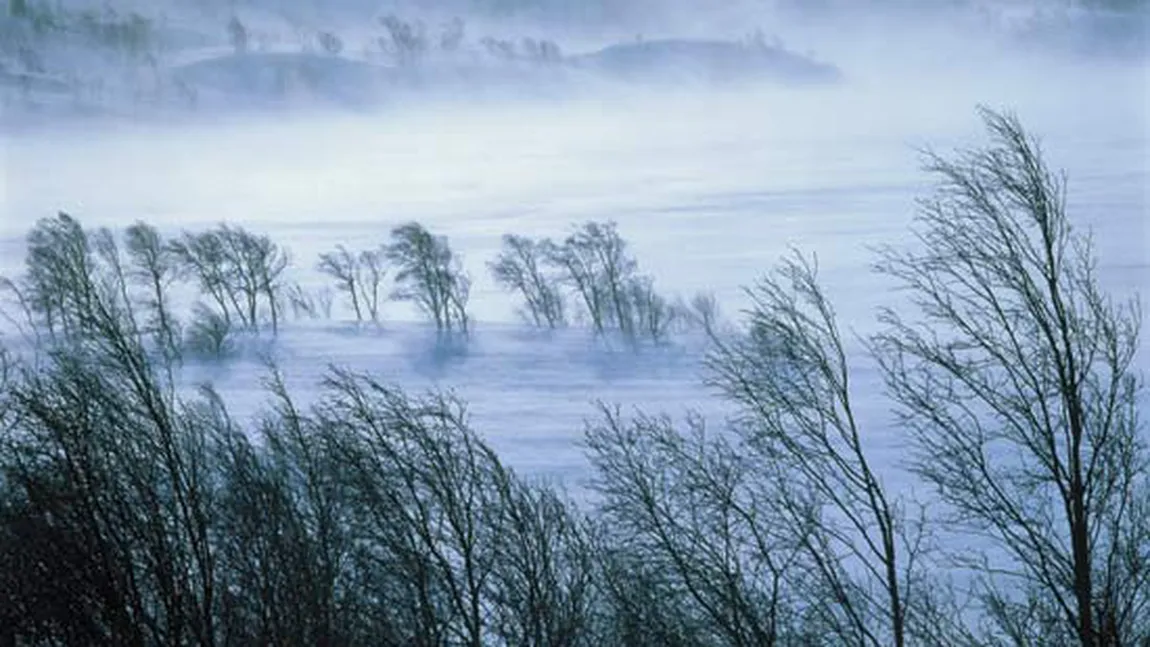 Avertizare meteo de vânt puternic pentru judeţele Caraş-Severin şi Sibiu