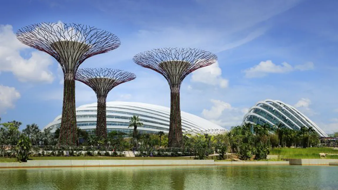 Copacii hi-tech, principala atracţie turistică din Singapore FOTO