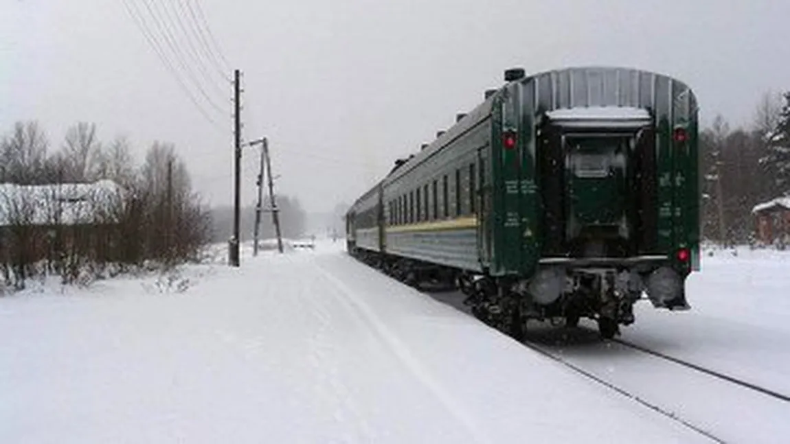 A căzut din tren în taigaua siberiană şi a alegat 7 km după el