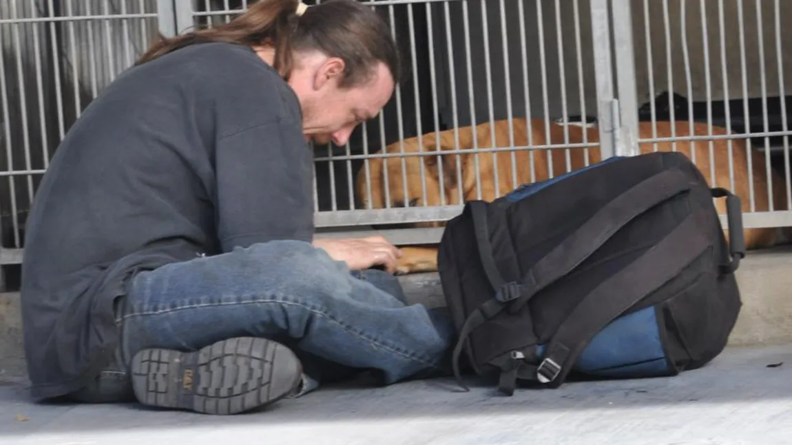 O fotografie emoţionantă a ajutat un bărbat să îşi recupereze câinele de la adăpost FOTO