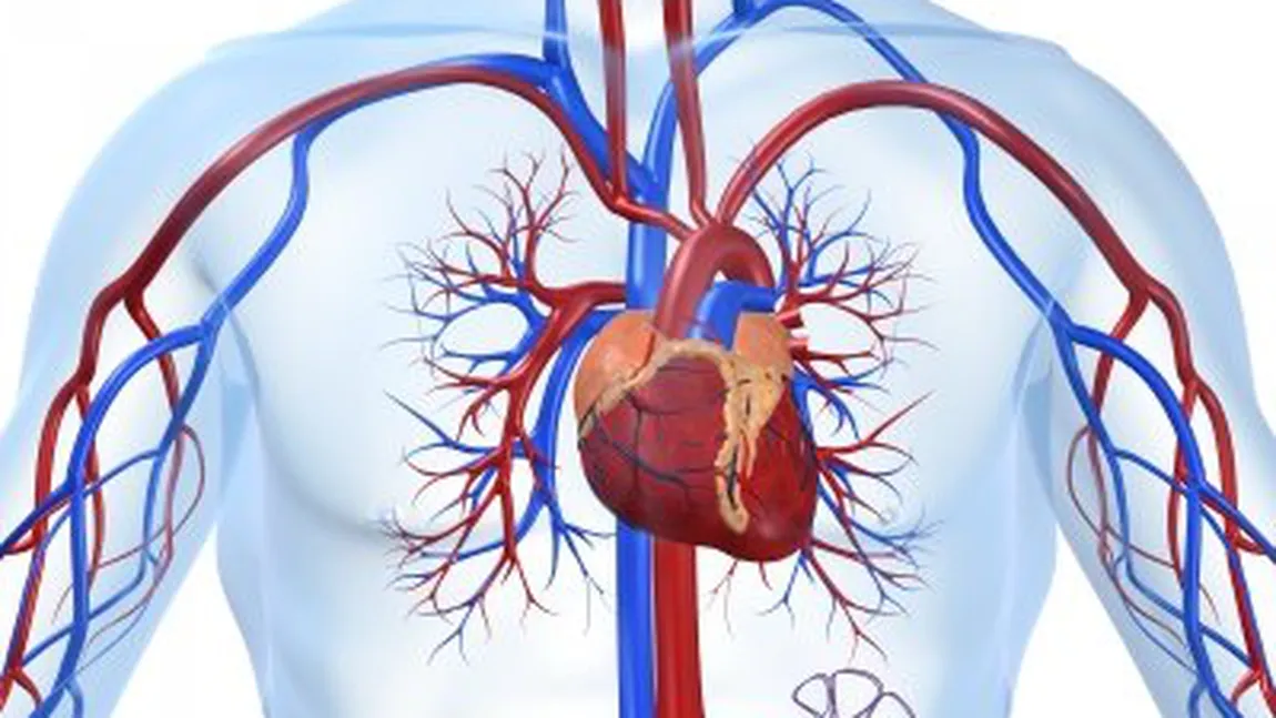 Săptămâna Prevenţiei Cardiovasculare, în perioada 10-16 februarie