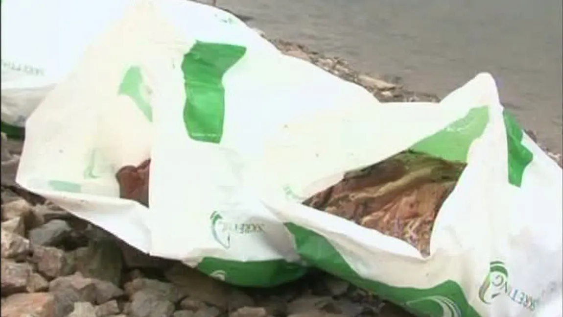 Carnea aruncată pe malul lacului Tarniţa din Cluj este de cal