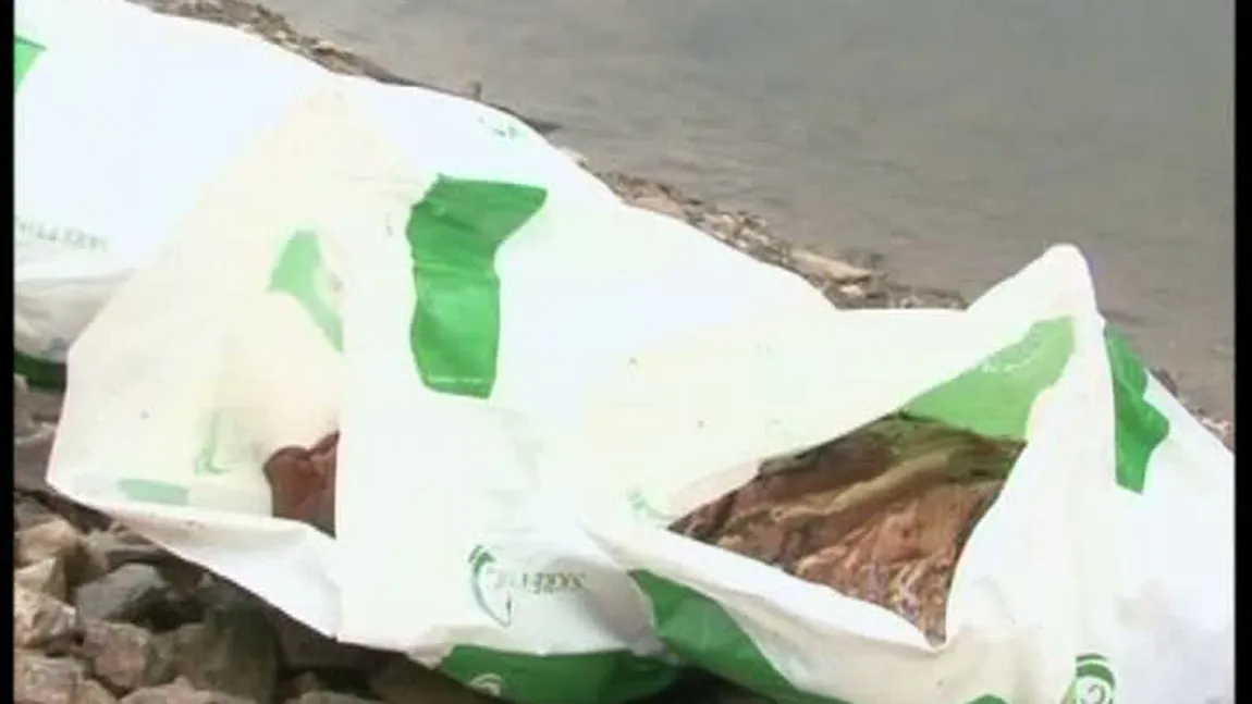 ALERTĂ în Cluj: O tonă de carne congelată, găsită într-un lac de acumulare VIDEO