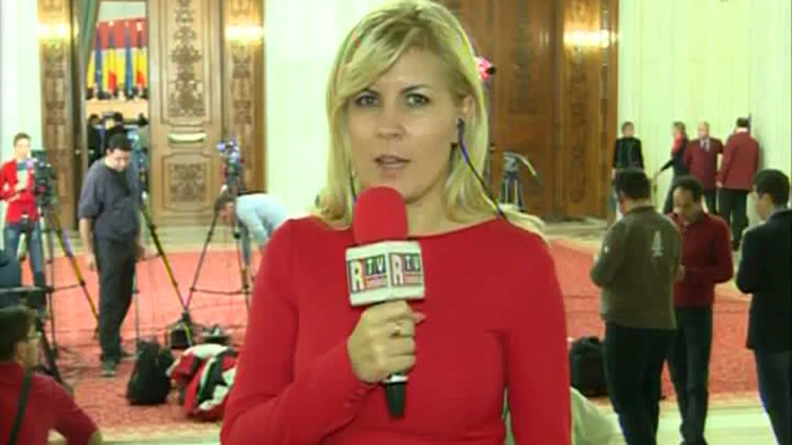 Elena Udrea, despre revizuirea Constituţiei: Ponta vrea să îi ia jucăria lui Antonescu