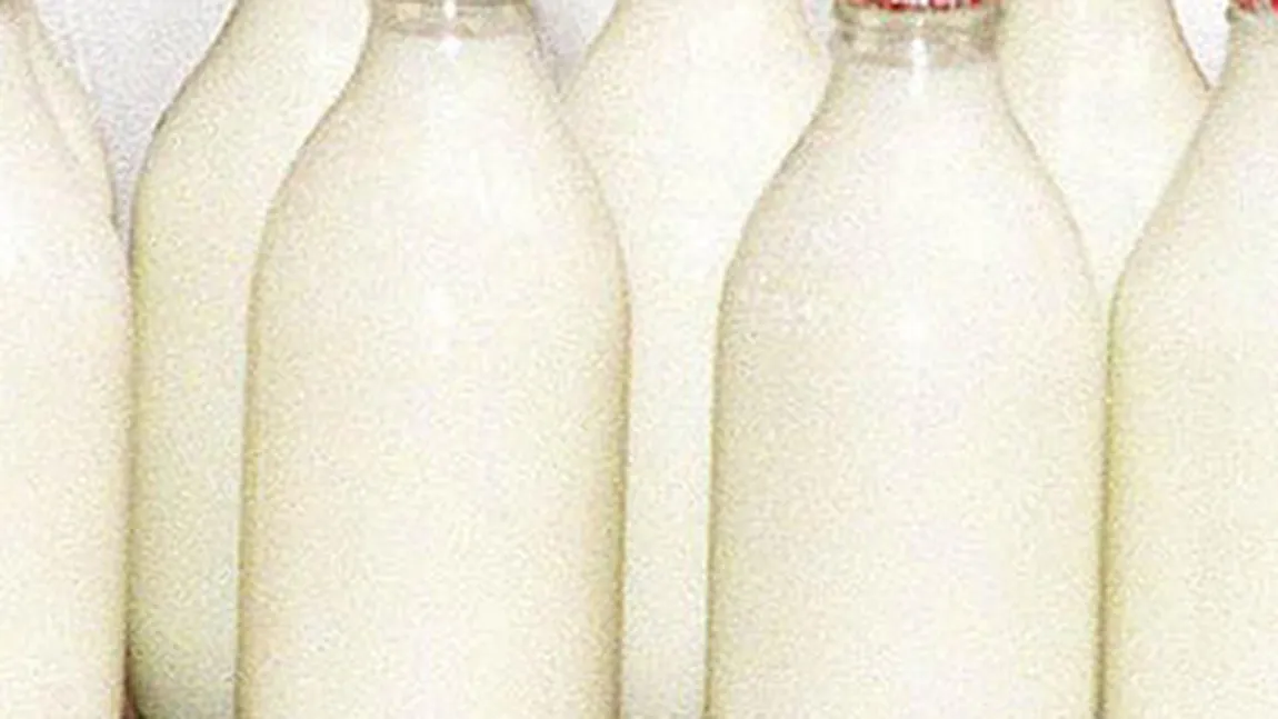 Laptele contaminat cu o toxină cauzatoare de cancer provoacă îngrijorare în Balcani