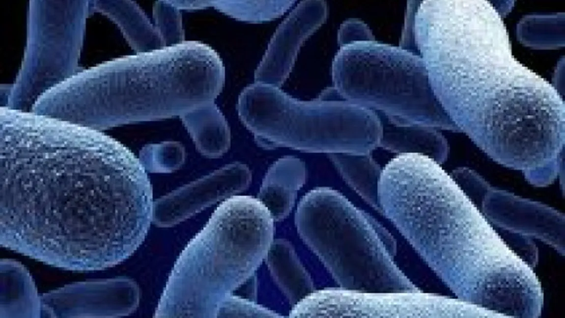 Bacterii ultrarezistente ameninţă sănătatea publică din SUA