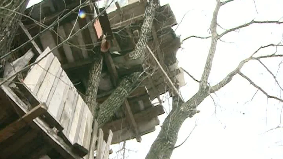 Casă cu trei etaje într-un copac din centrul Capitalei VIDEO