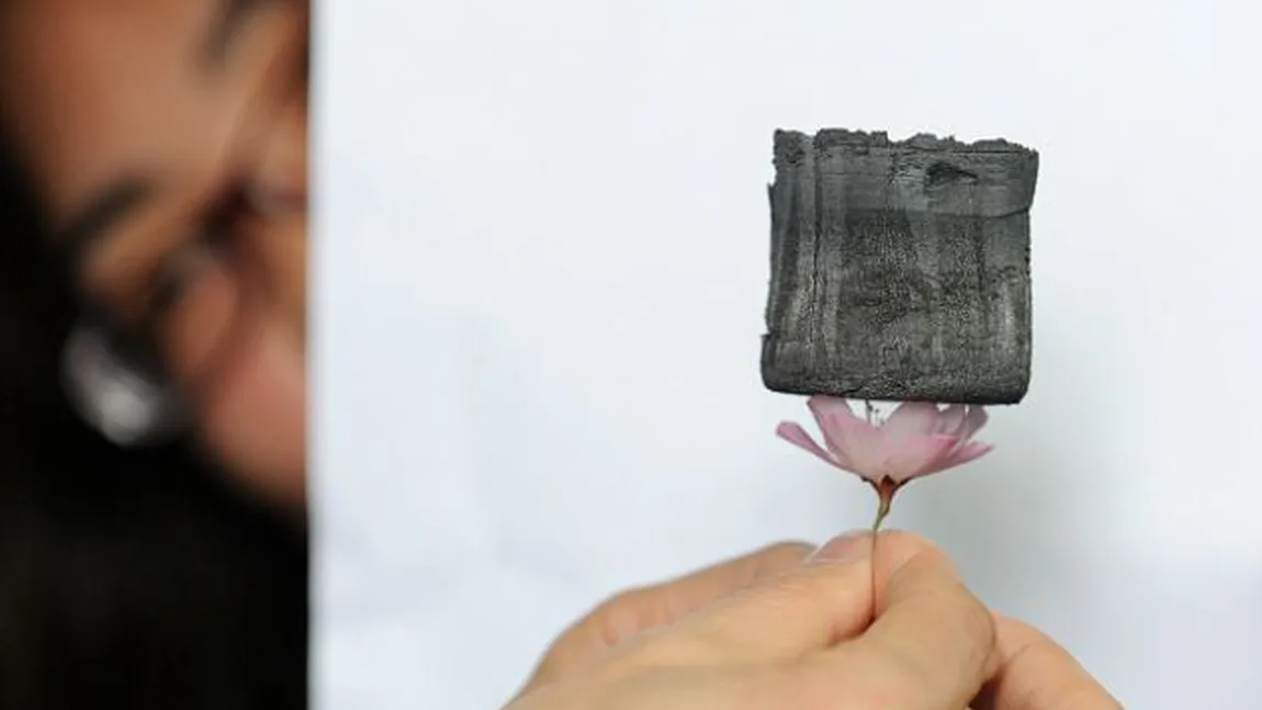 A fost descoperit cel mai uşor material solid din lume! Poate sta pe o floare, fără să o rupă FOTO