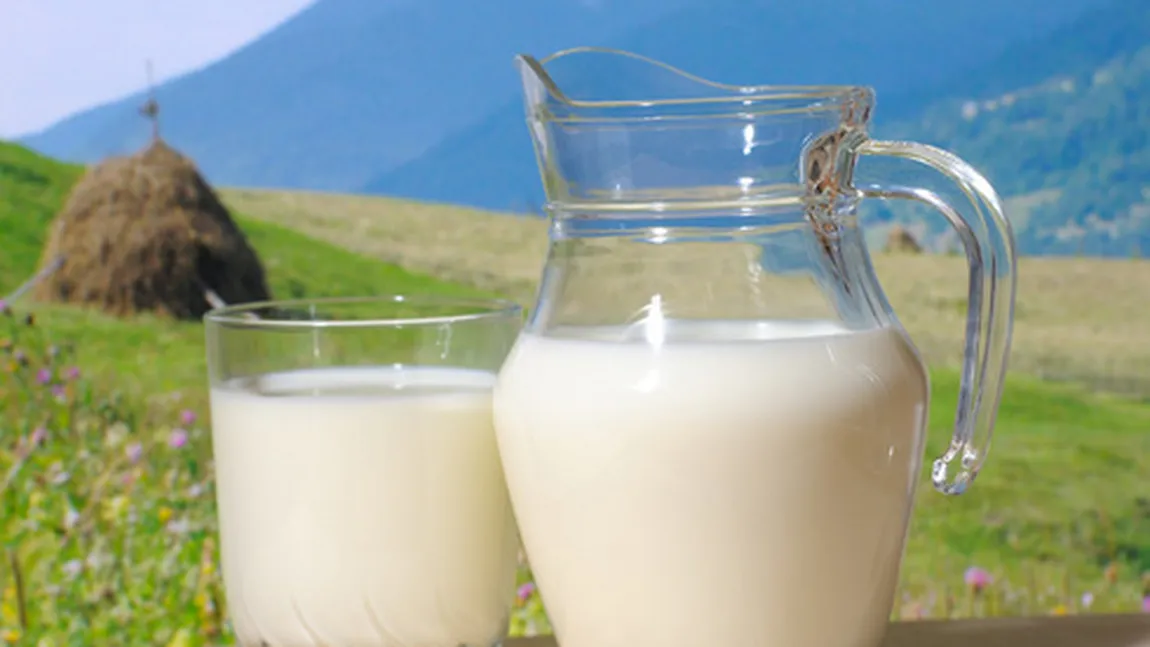 Autorităţile arădene au distrus peste 31.000 de litri de lapte cu aflatoxină peste limite