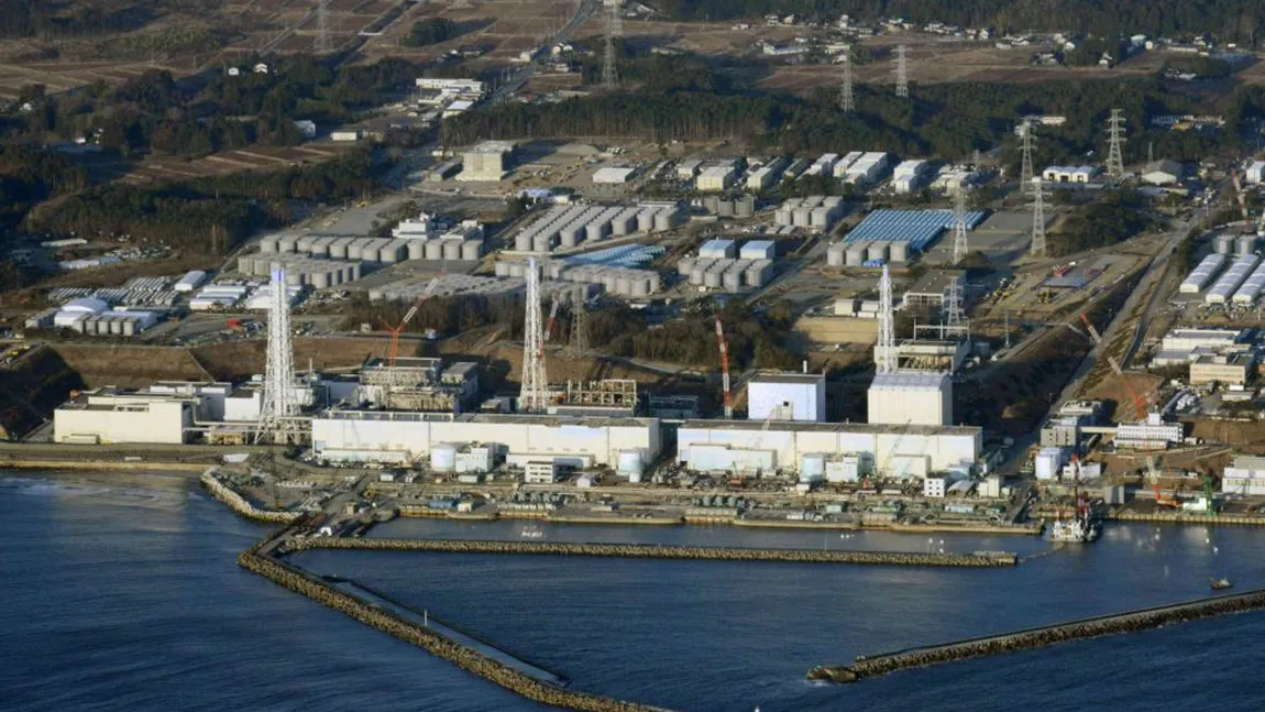 Pana de curent de la centrala nucleară Fukushima, provocată de un şobolan