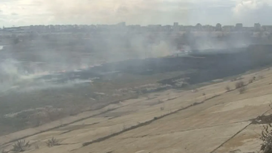 Incendiu de vegetaţie, în zonă protejată: Zona Lacului Văcăreşti, mistuită de flăcări
