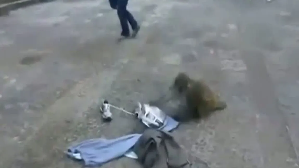 O turistă a rămas fără geantă după ce a fost jefuită de o maimuţă VIDEO