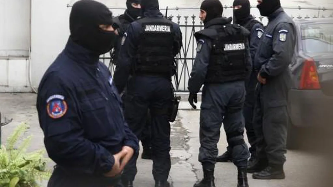 Percheziții în Timiş şi Caraş-Severin în cazul unei grupări specializate în infracțiuni cu violență
