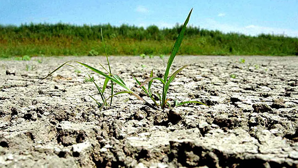 ANM: SECETĂ în lunile iulie şi august. VEZI PROGNOZA METEO PE ŞASE LUNI VIDEO